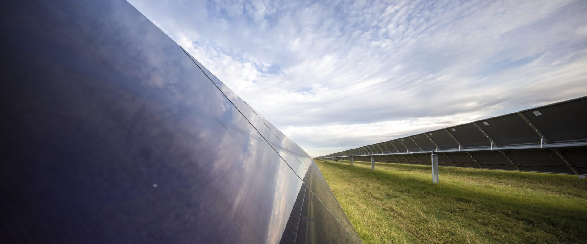 rows of solar panels