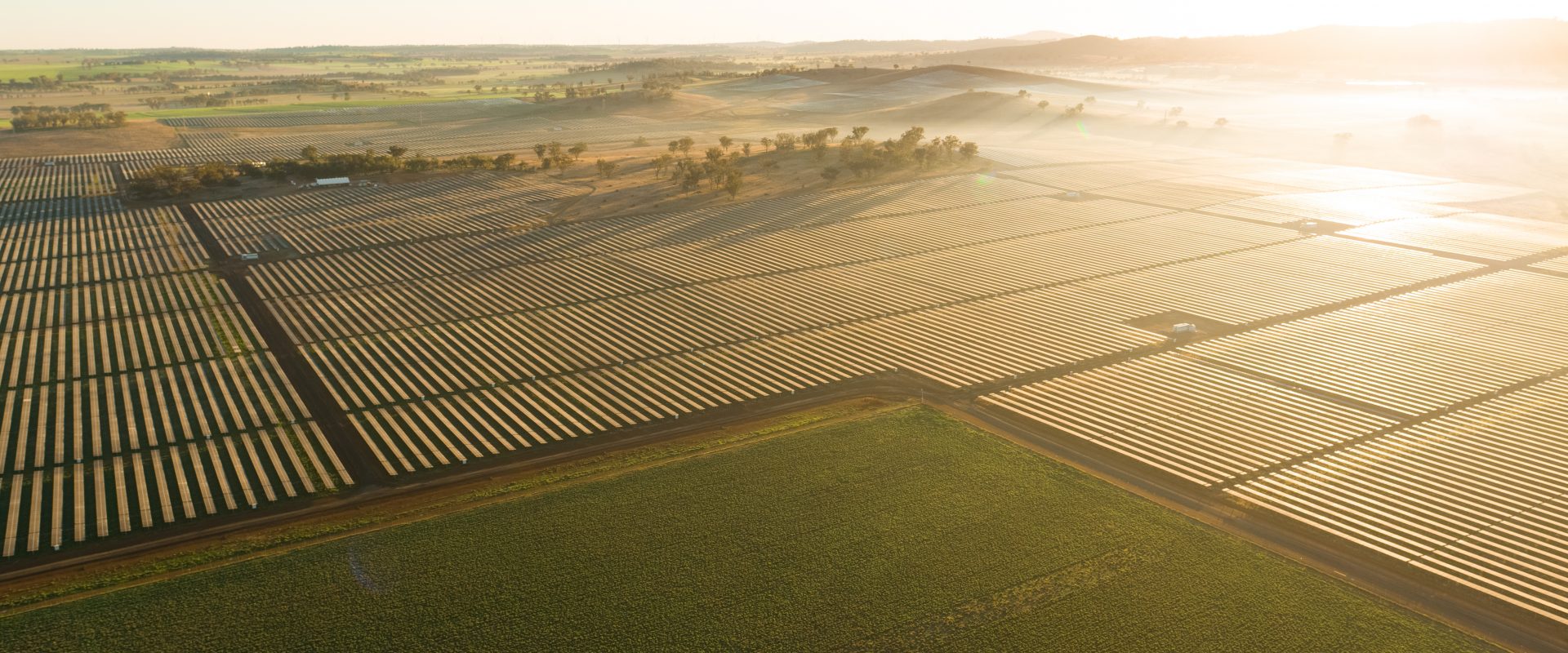 rows of solar panels on a solar farm