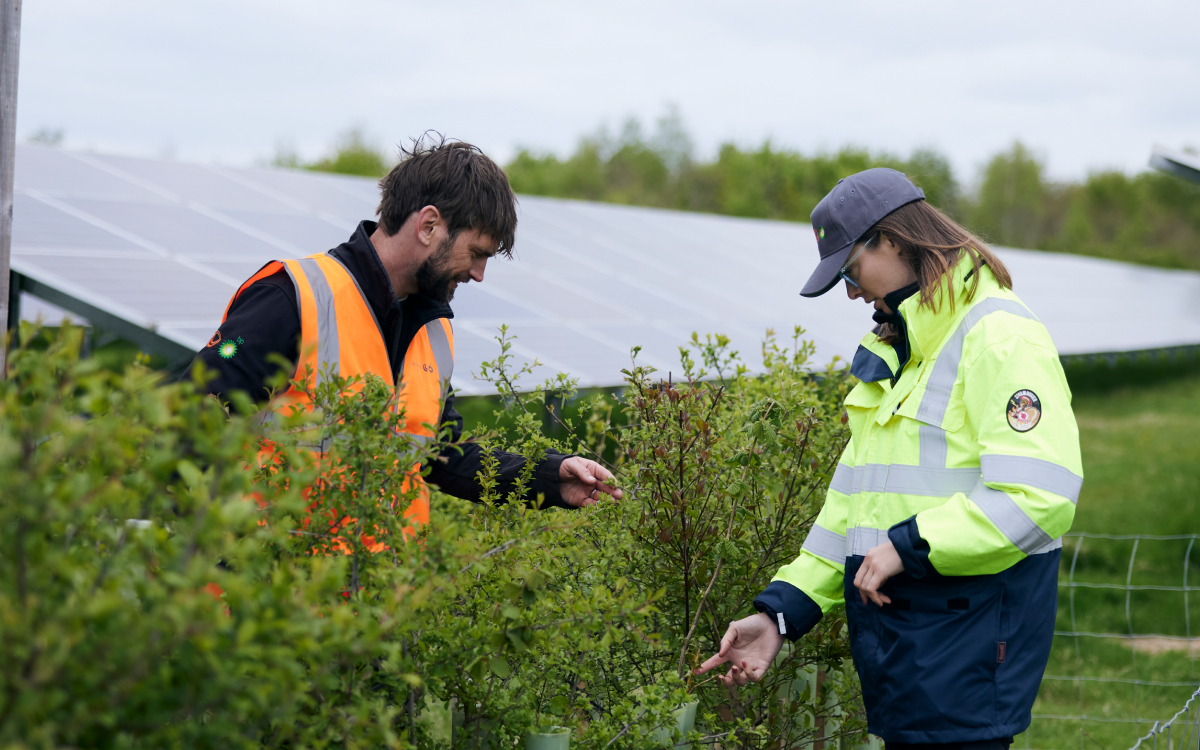 2 people in a farm looking at plants