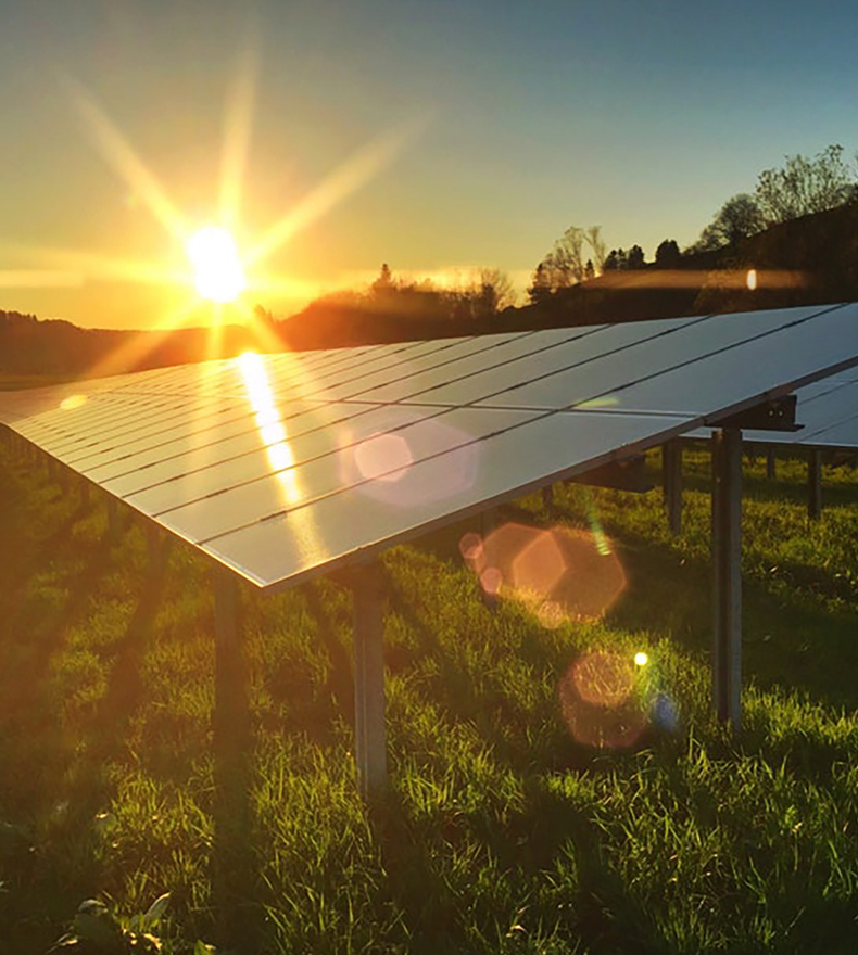 sun setting over solar panels