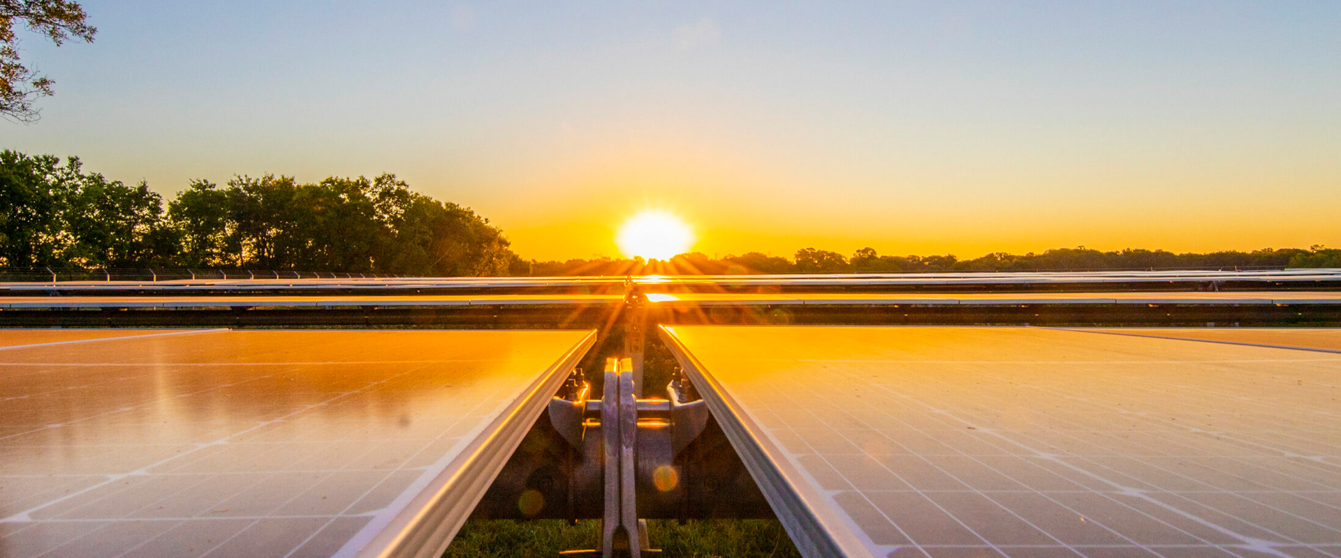 sunset over solar panels