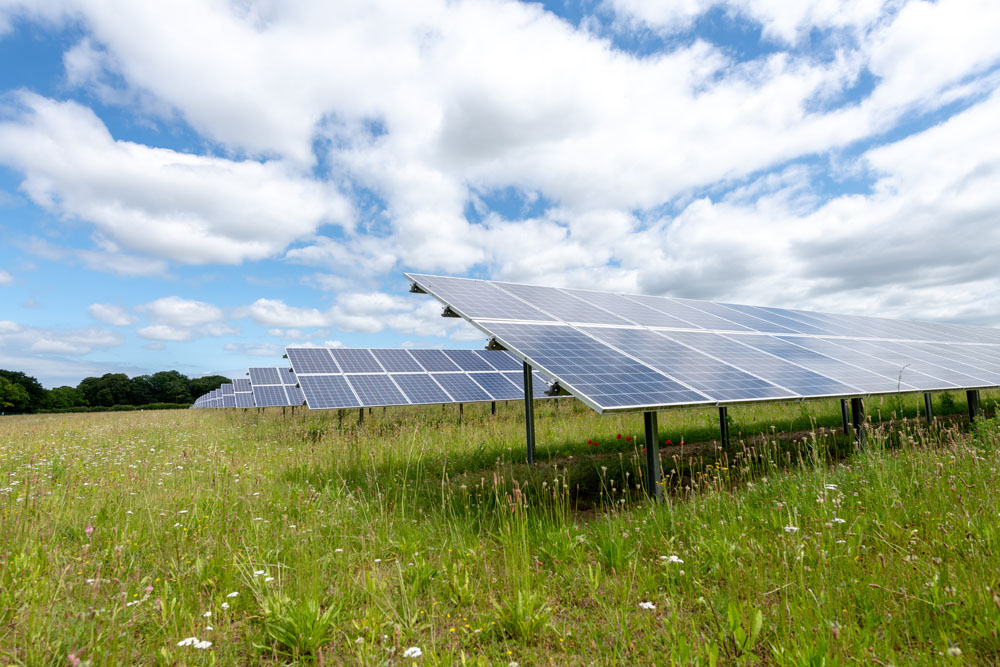 rows of solar panels on a solar farm