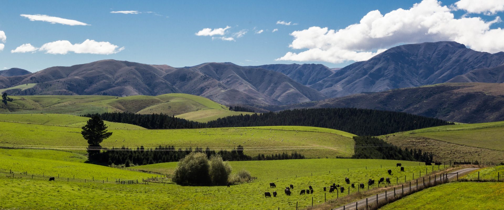 solar power for New Zealand