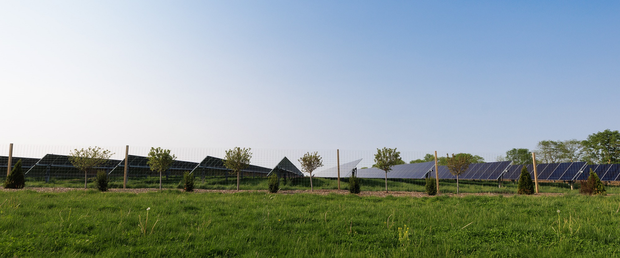 Bellflower Solar farm in Indiana Lightsource bp USA