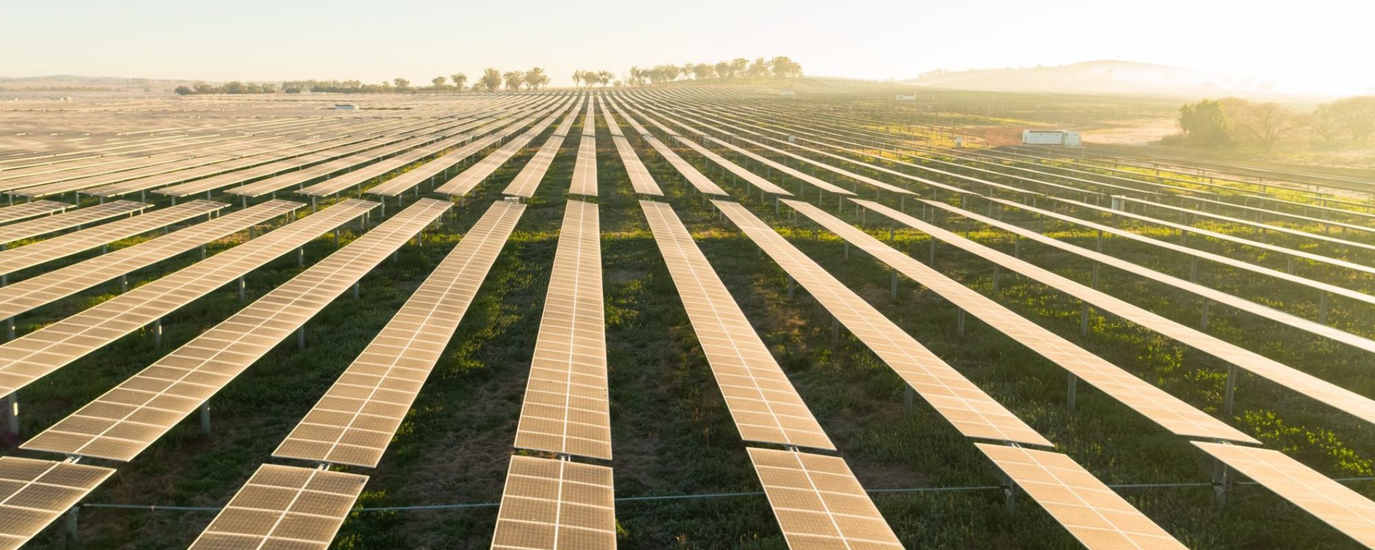 solar panels in rows