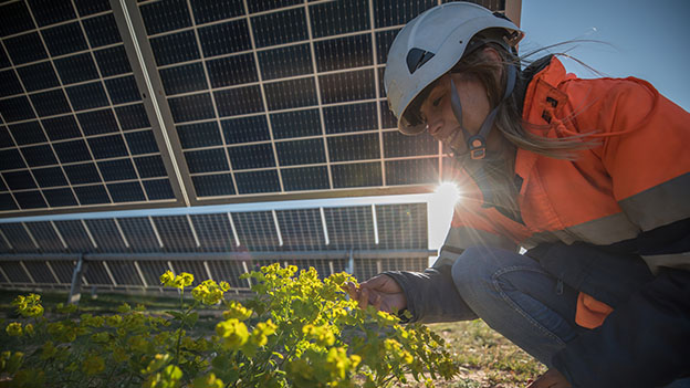 engineer looking at plants