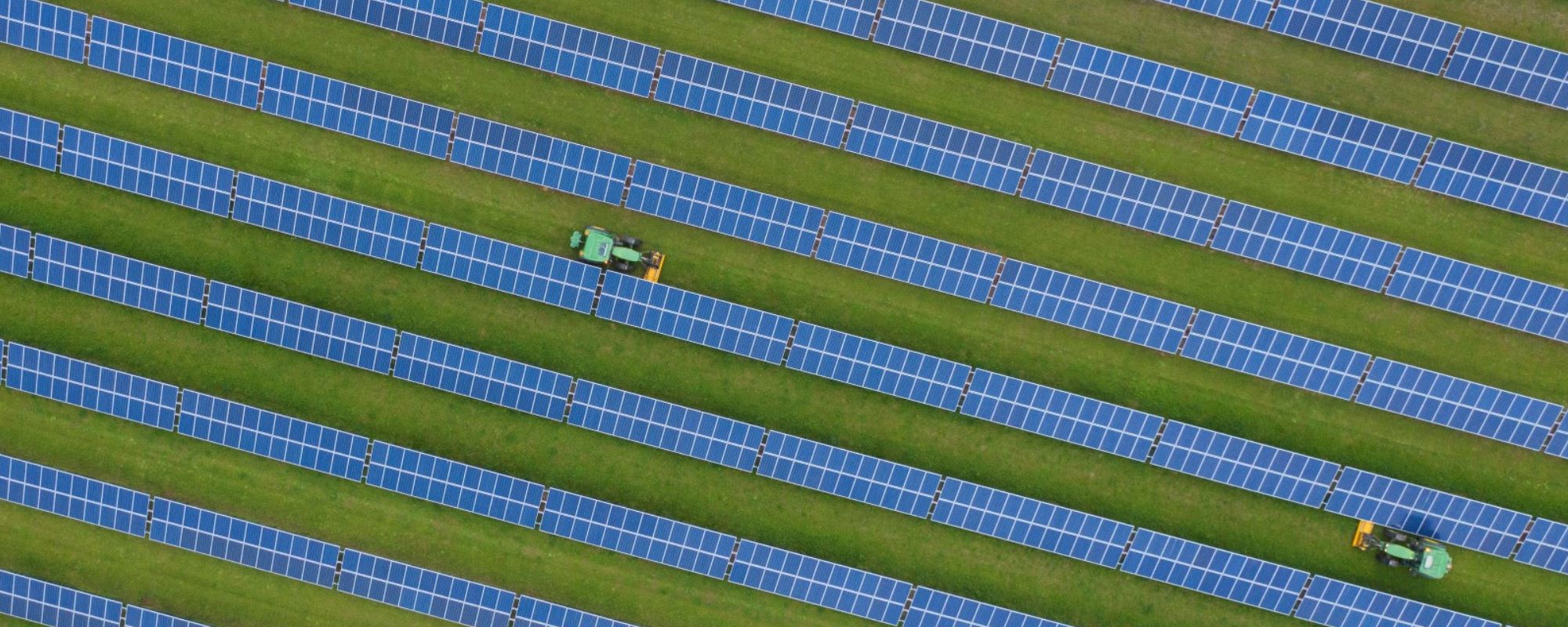 rows of solar panels