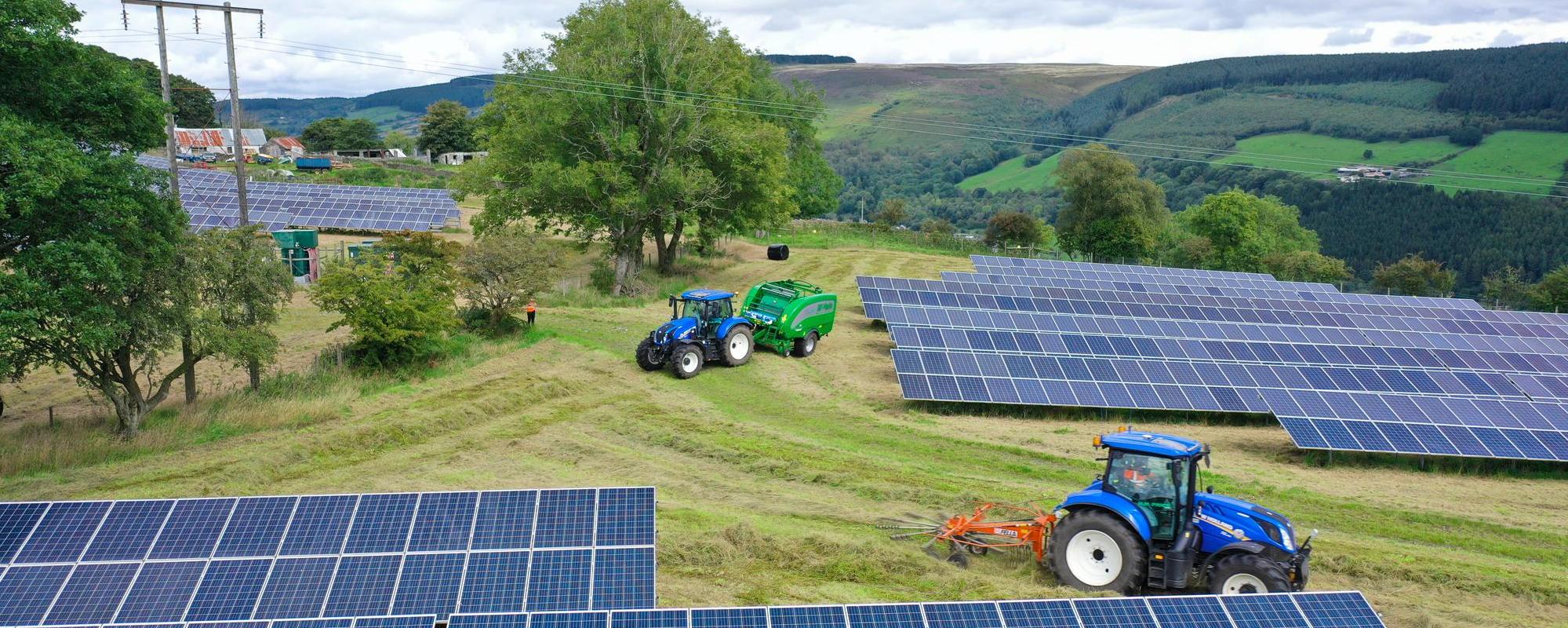 Haybaling on a solar farm