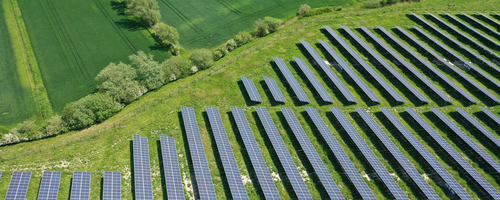 Aerial shot of  field of solar panels