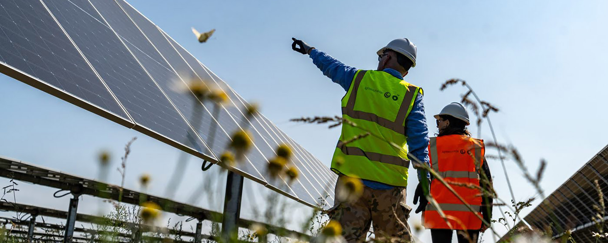 Low shot through flowers of two people on a solar farm pointing at the panels